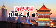 找个外国美女日逼视频中国陕西-西安城墙旅游风景区